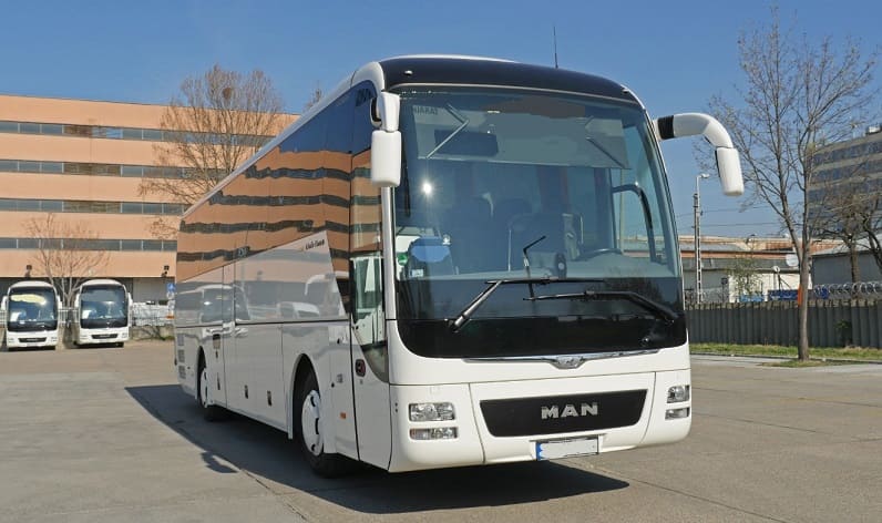 Kosovo: Buses operator in Bresje in Bresje and Europe