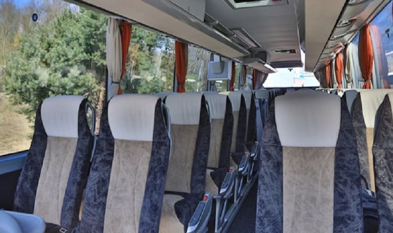 Southern and Eastern Serbia: Coach charter in Nišava in Nišava and Niš