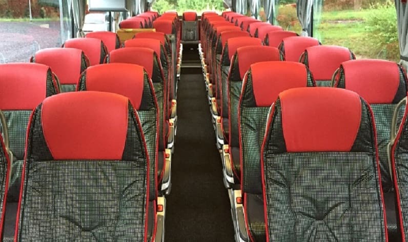 Nišava: Coaches rent in Niš in Niš and Southern and Eastern Serbia