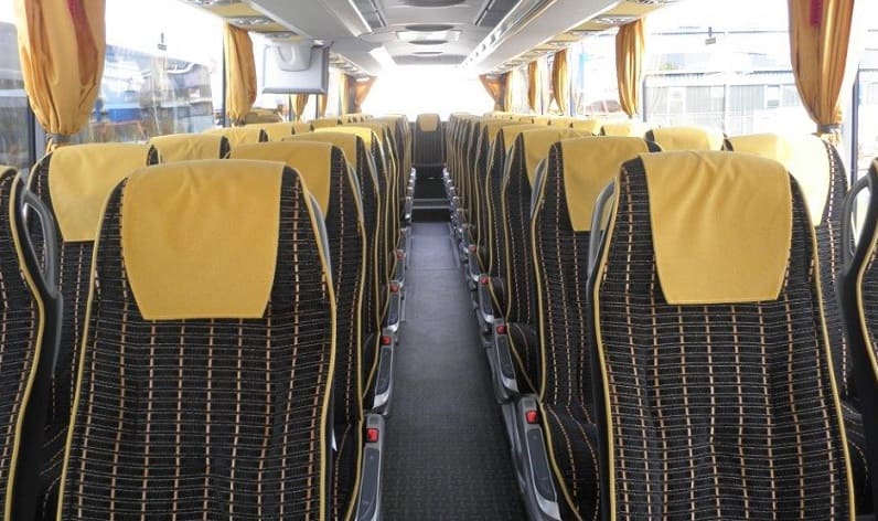 Southern and Eastern Serbia: Coaches reservation in Nišava in Nišava and Aleksinac